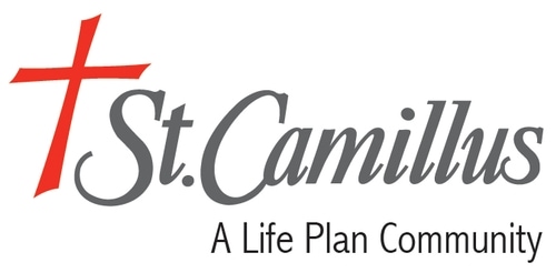 DNS Management Control Panel